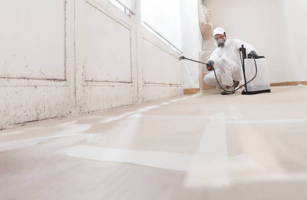 24/7 Emergency Mold Remediation experts in Grottoes, VA