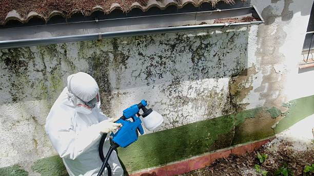Top rated local Mold Remediation specialists in Grottoes, VA